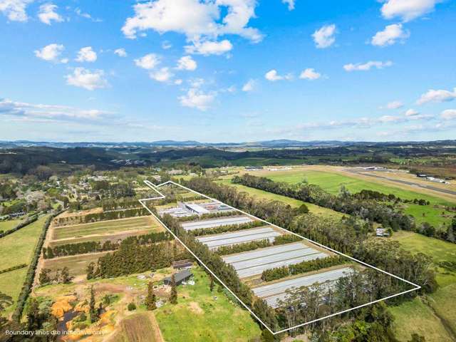 126 Wiroa Road Kerikeri_4