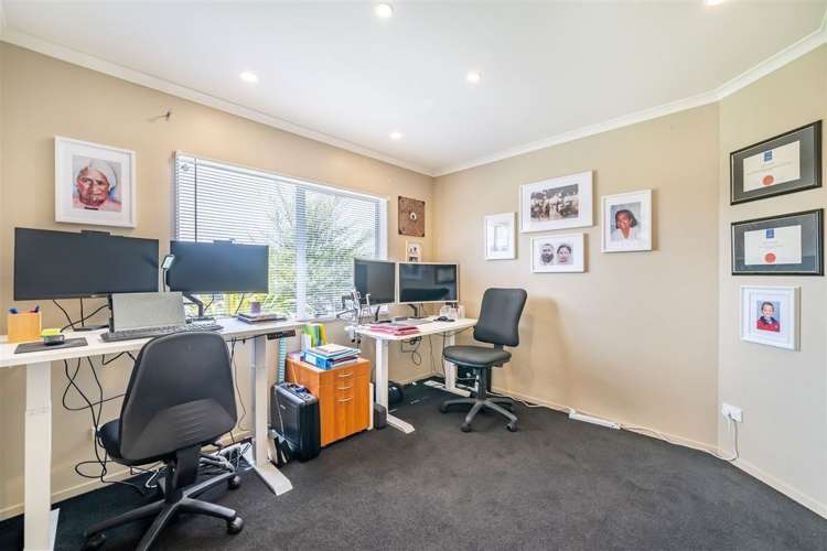 2 Catlins Glen Aotea_11