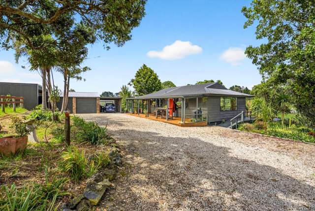 167 Wymer Road Glenbrook_1