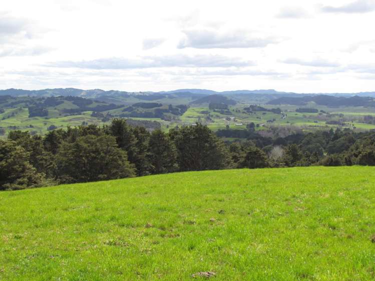 Tremain Road Ruatangata West_23