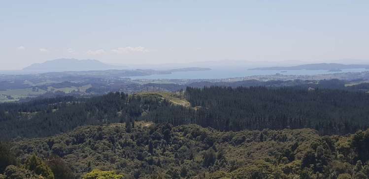 448 Moir Hill Road Warkworth_4