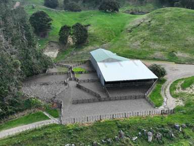 2829 Puketitiri Road_1