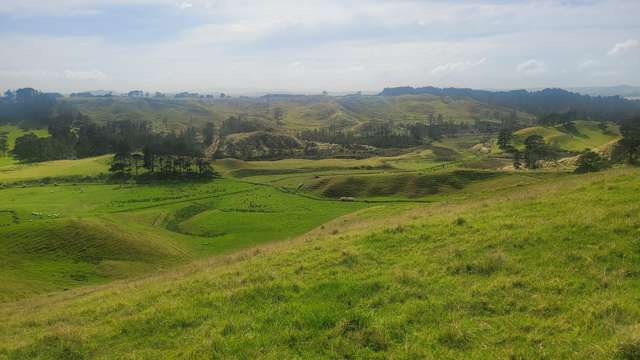 240 Pinaki Road Te Kopuru_3