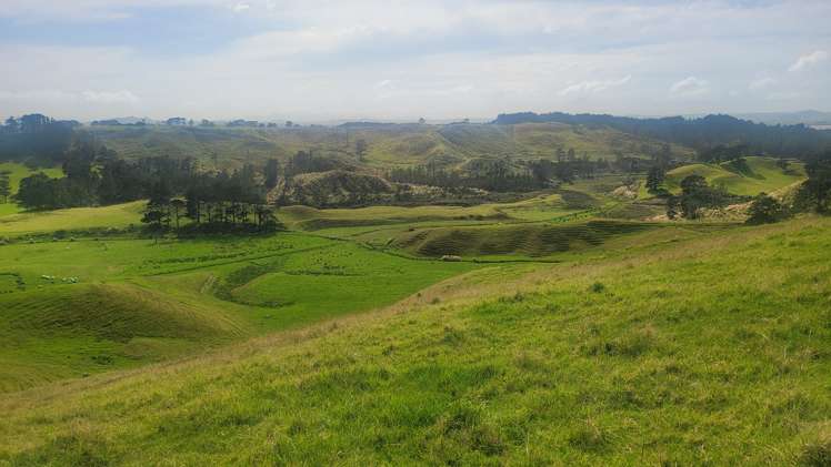 240 Pinaki Road Te Kopuru_3