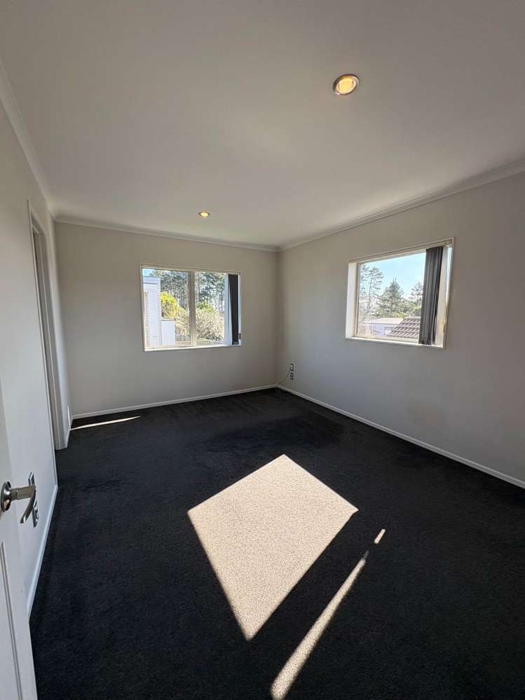 9b Arran Street Avondale_3