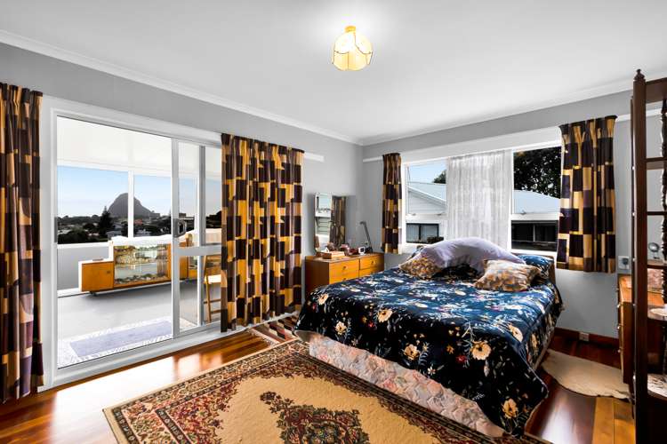 17 Mount View Place Spotswood_7