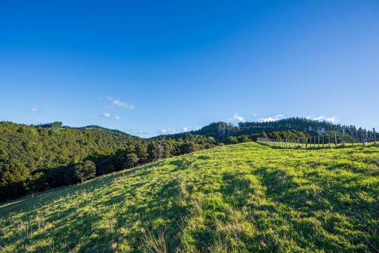 345 Taraunui Road Parua Bay_45