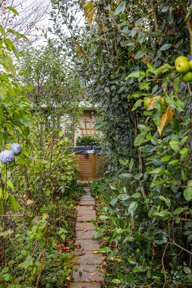 1 Rex Place Rangiora_15