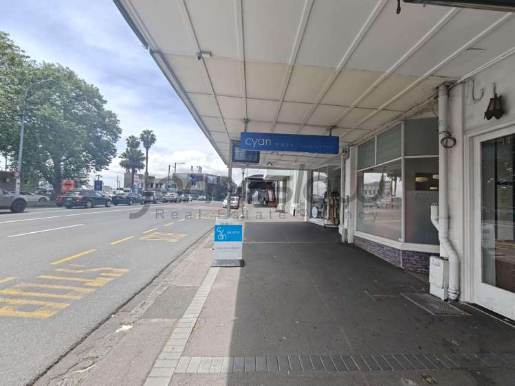 14 Ponsonby Road Grey Lynn_7