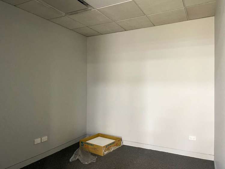 5 Totara Avenue New Lynn_5