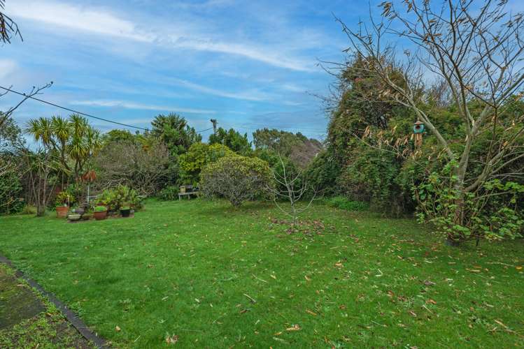 66 Bridge Street Bulls_15