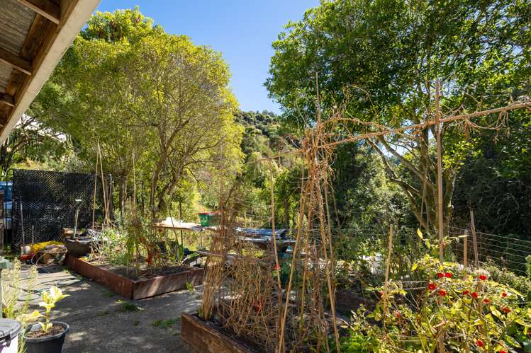 117 Little Todd Valley Road Todds Valley_21