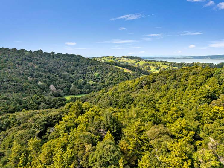 OWHIWA ROAD ONERAHI Onerahi_18