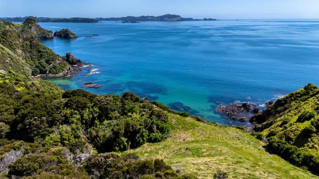 Pukematu Lane Russell_3