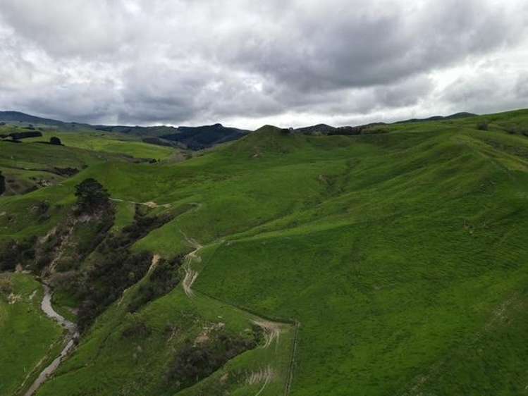 2256 Weber Road Dannevirke_18