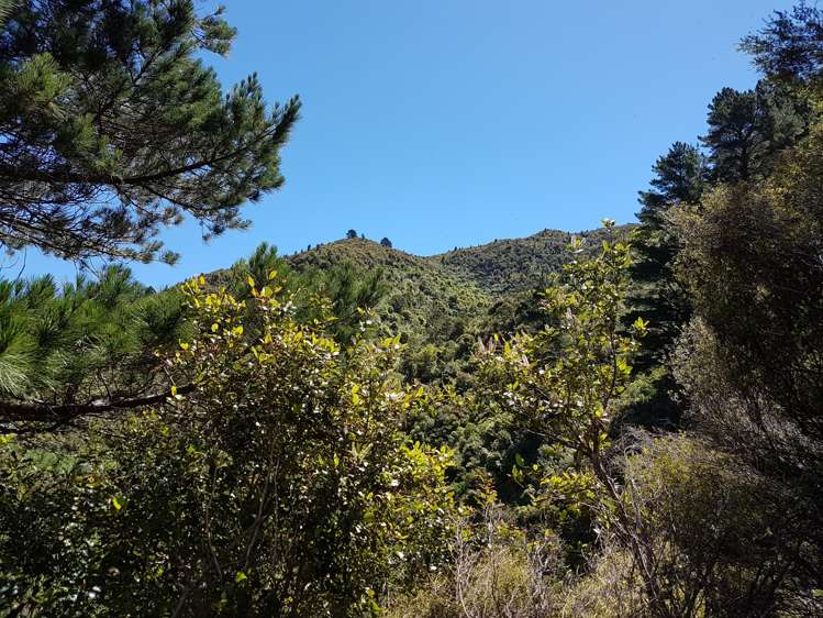 946 Mangatarere Valley Road Carterton_5