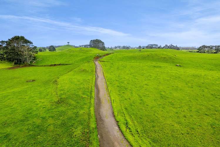 677 Newall Road Newall_14