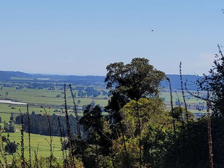 254 Doughboy Road Kokatahi_59