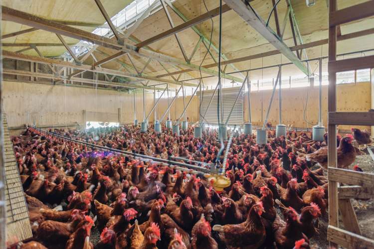 2923 State Highway 1 Lichfield_21