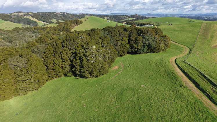 256 McIntyre Road Oromahoe_9