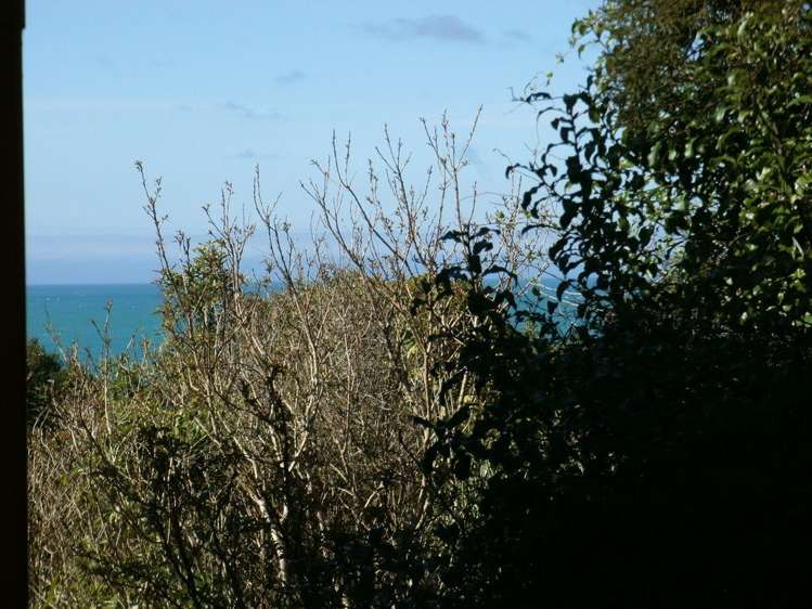 16 Koromiko Street Kaka Point_17