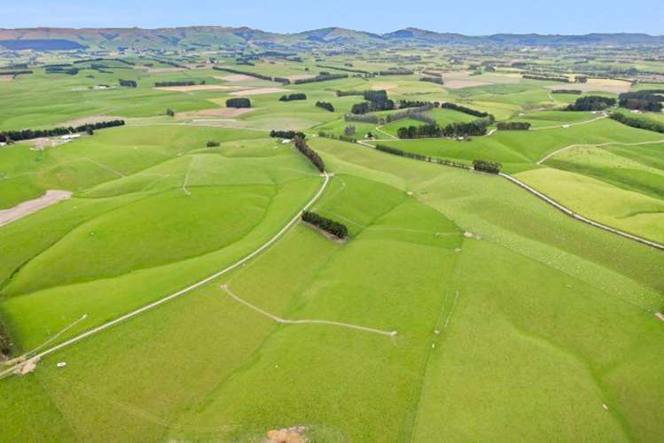 355 Clifton Road Clinton and Surrounds_15