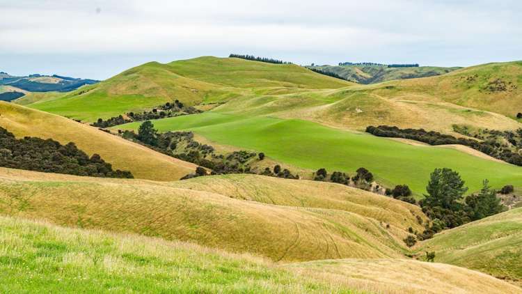 48 Heathfield Road Greta Valley_25