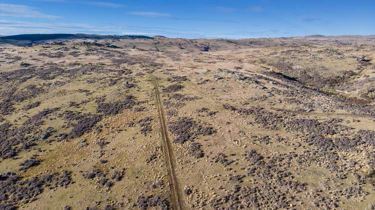 715 Hyde-Macraes Road Hyde_21