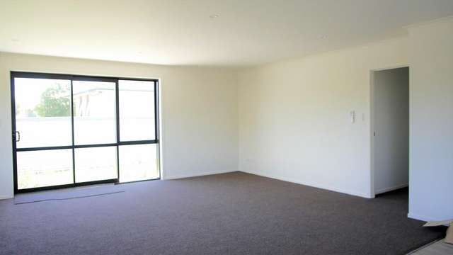 100 Stortford Street Ashhurst_3