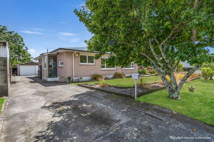 19 Devon Street Stoke_23