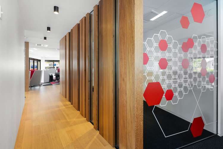 85 Tristram Street Hamilton Central_15