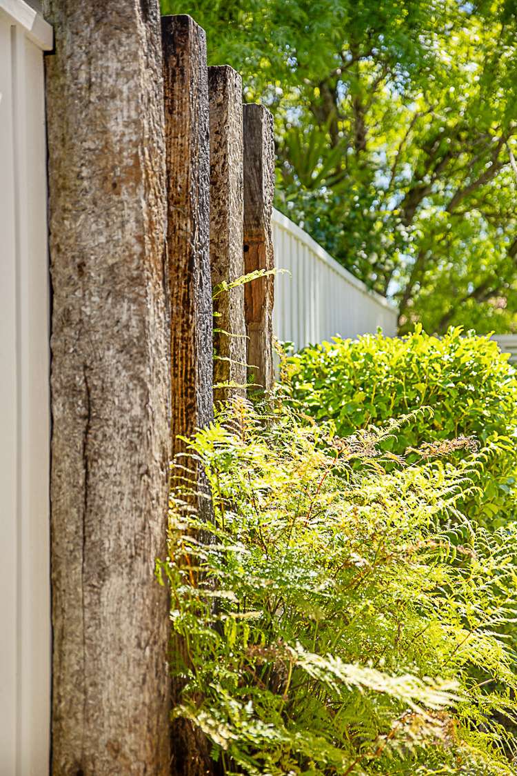 81 Colemans Road Springlands_9