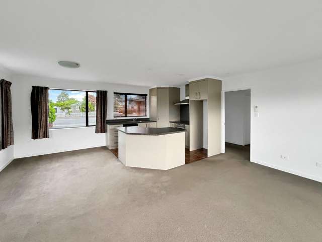 116 Thomson St Tinwald_1