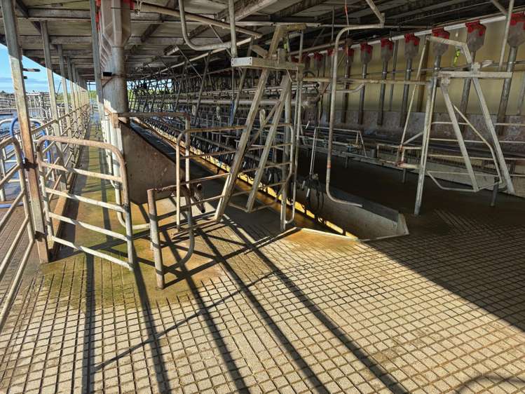 12 Shand Road, Farm 1 Rimu_7