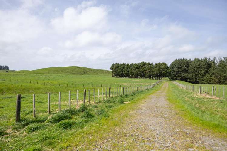 137 Zigzag Road Pohangina Valley_21