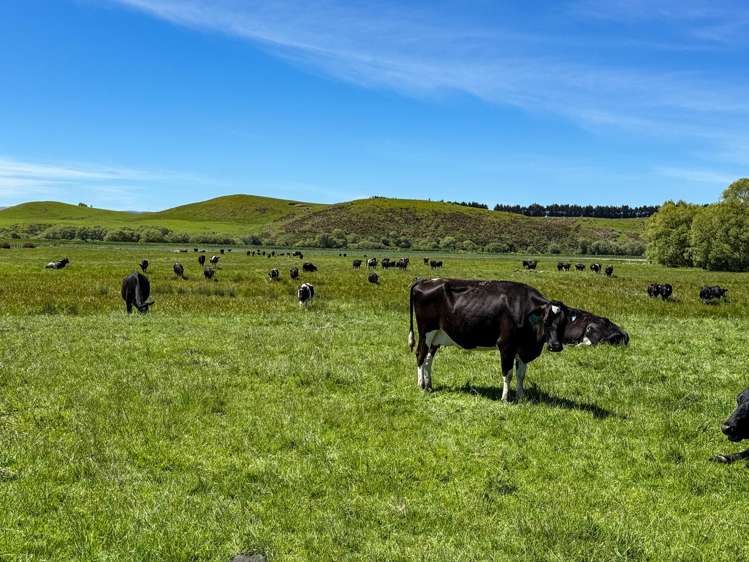 840 Ardlussa Cattleflat Road Cattle Flat_8