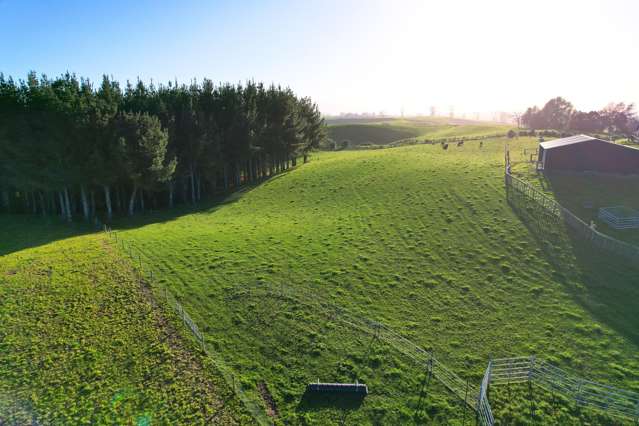 11C Jones Road Putaruru_4