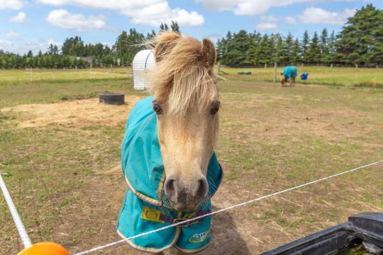 711b Hoskyns Road West Melton_20