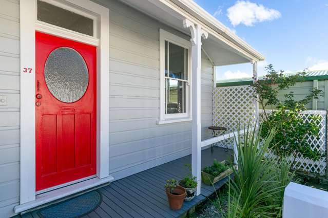 37 Donald Mclean Street Newtown_3