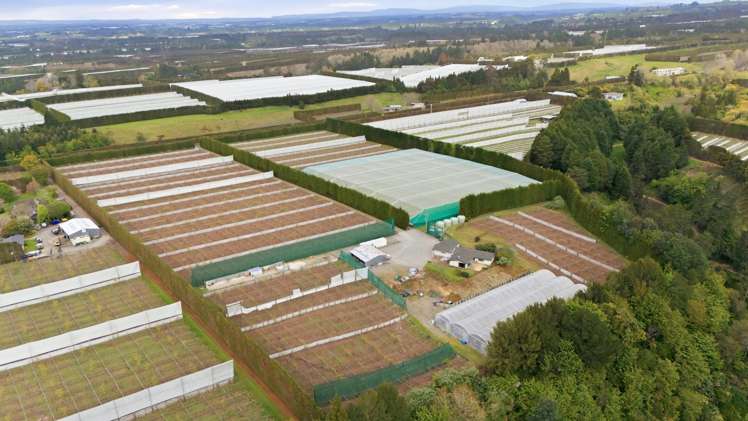 364 Te Matai Road Te Puke_0