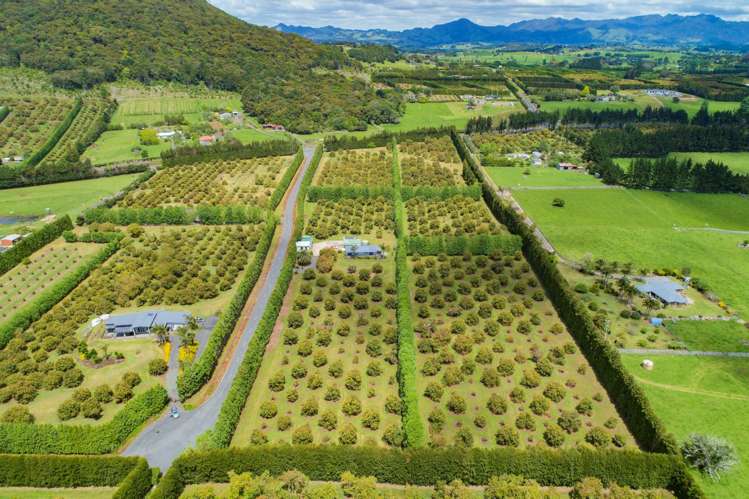 27 Watrous Downs Maungatapere_1