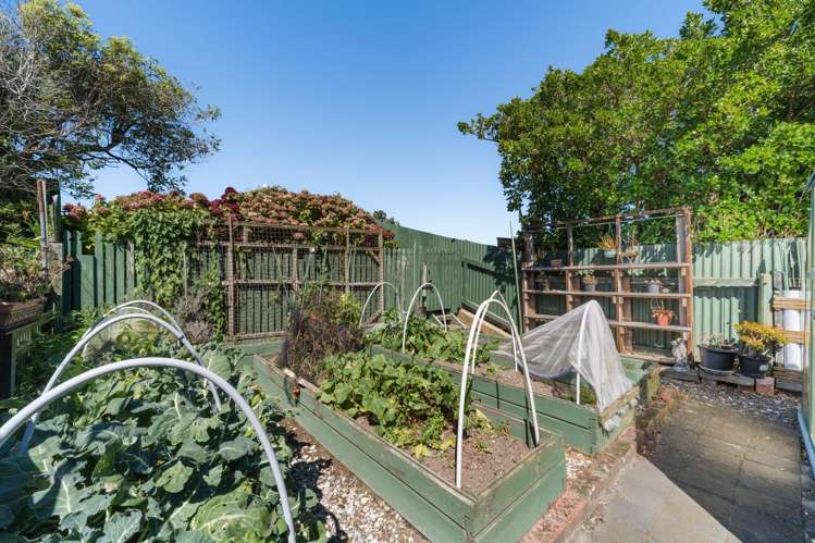 18 Belvedere Crescent Takaro_14