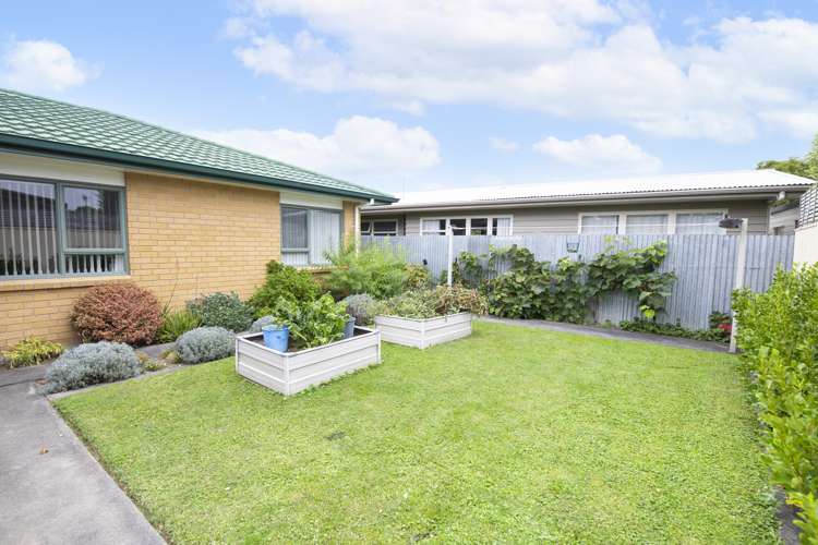 40b Peddie Street Taradale_6