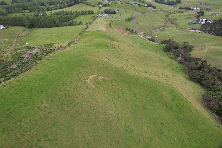 91 Sharyn Nelson Drive Haruru_1