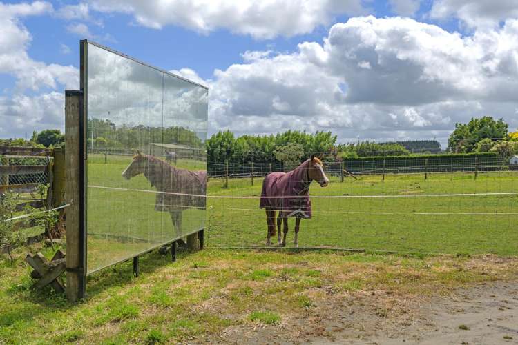 30 Parrs Road Bunnythorpe_9