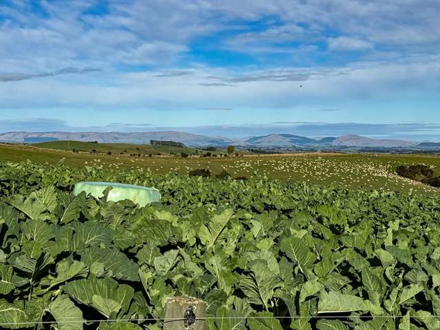 140 + 612 Reserve Road Tuapeka Mouth_1