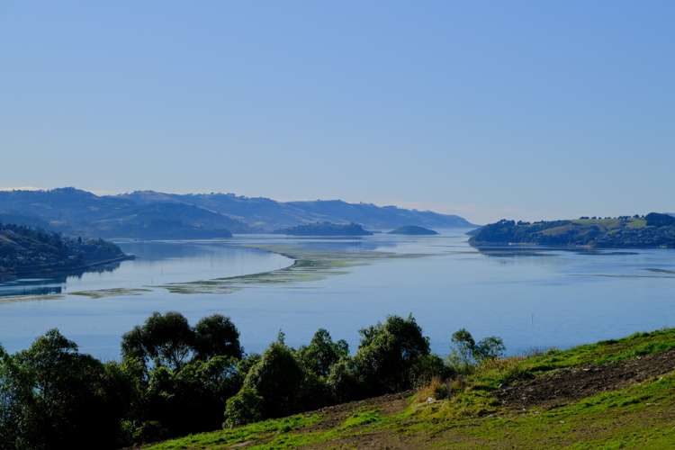 45 Irvine Road The Cove_6