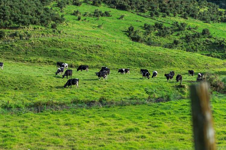 892d Welcome Bay Road Papamoa_14