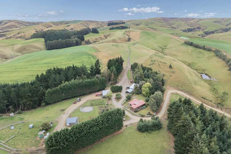 665-901 Tima Burn Road Teviot_36