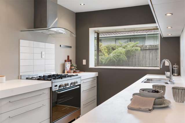 213b Colombo Street Sydenham_4